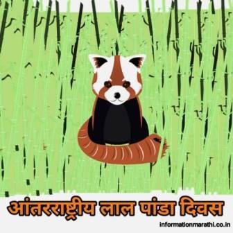 आंतरराष्ट्रीय लाल पांडा दिवस International Red Panda Day Information In Marathi