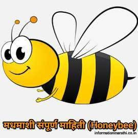 मधमाशी माहिती Honey Bee Information in Marathi