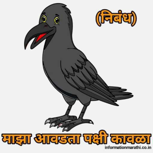 माझा आवडता पक्षी कावळा निबंध मराठी Maza Avadta Pakshi Kavla Nibandh Marathi