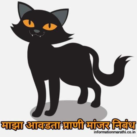 माझा आवडता प्राणी मांजर मराठी निबंध १०० ओळी Essay On Cat in Marathi
