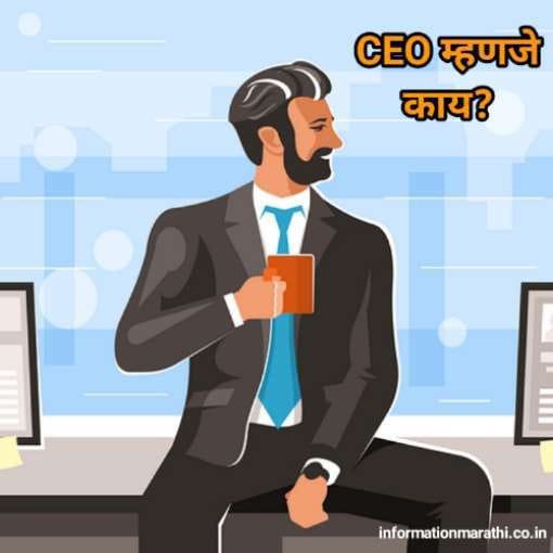 सीईओ पूर्ण फॉर्म मराठी CEO Full Form in Marathi