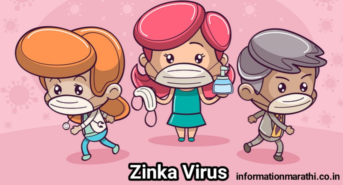 Zika Virus Information in Marathi