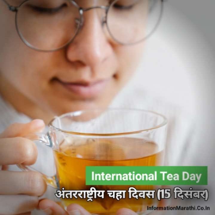 International Tea Day Information History Theme Quotes Marathi