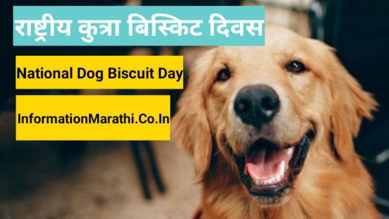 National Dog Biscuit Day Information in Marathi