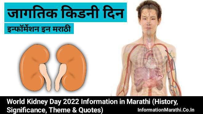 World Kidney Day 2022 Information in Marathi
