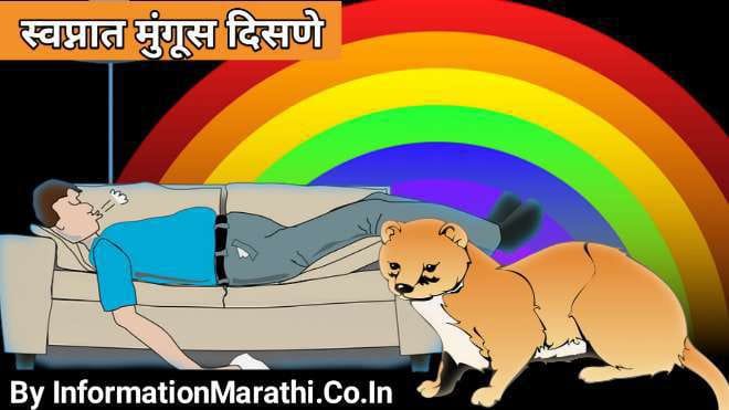 स्वप्नात मुंगूस दिसणे: Mongoose in Dream Meaning in Marathi