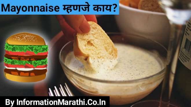 Mayonnaise Meaning in Marathi