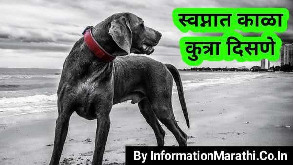Black Dog in Dream Astrology in Marathi