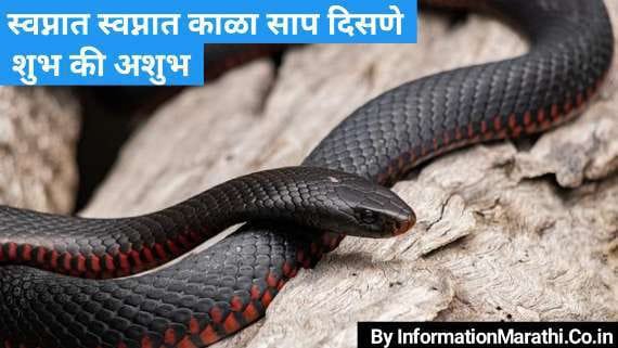 Black Snake in Dream in Marathi