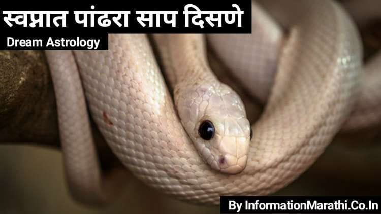 White Snake in Dream Meaning in Marathi