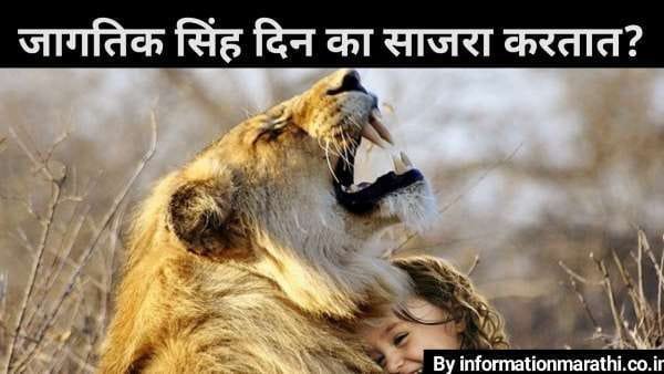 World Lion Day 2022: Marathi