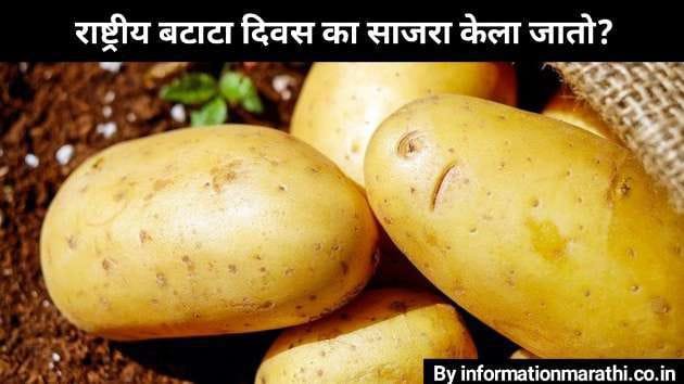 National Potato Day 2022