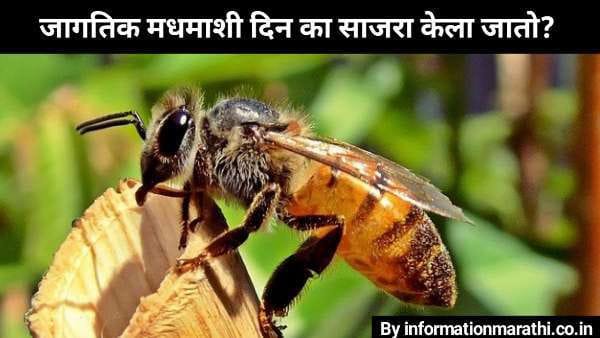 World Honey Bee Day 2022