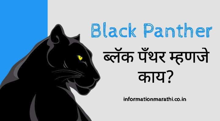 Black Panther: Meaning in Marathi