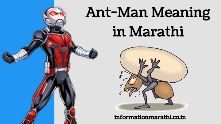 Ant-Man Meaning in Marathi