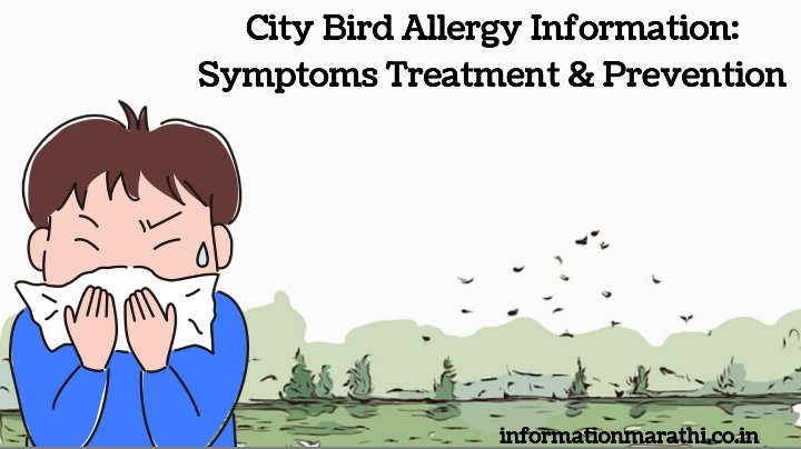 City Bird Allergy Information: Symptoms, Treatment and Prevention