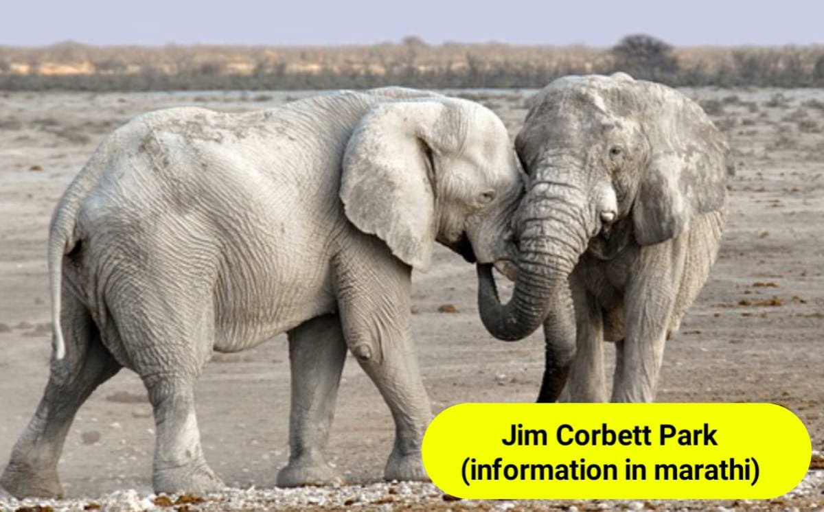 Jim Corbett National Park Information in Marathi