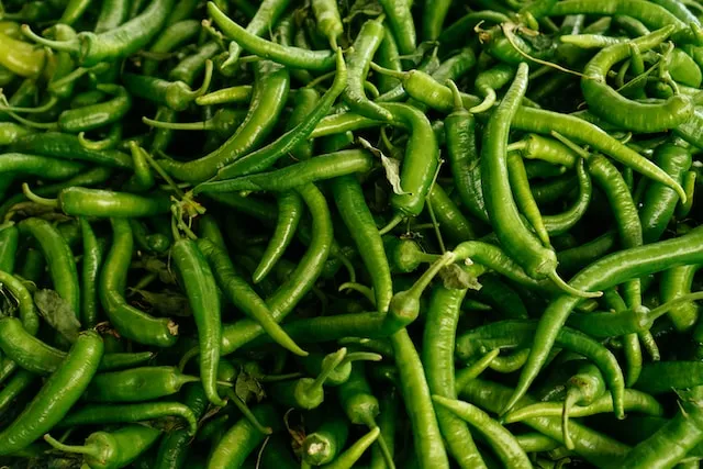 Green Chilli Price Today in Pune: 11 September 2023