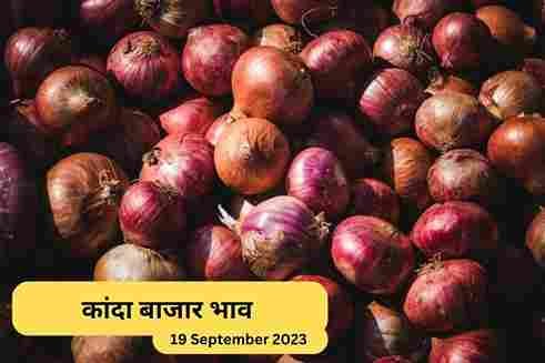 Kanda Bajar Bhav Aaj 19 September 2023