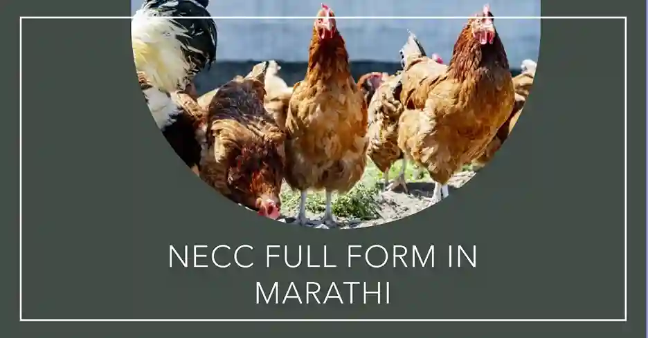 NECC Full Form in Marathi