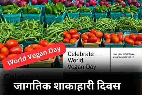 Vegan Meaning in Marathi